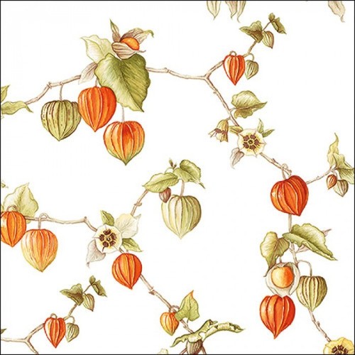 Ambiente cocktail napkins - ambiente,