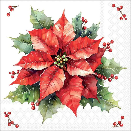 Festive poinsettia holly - poinsettia, &