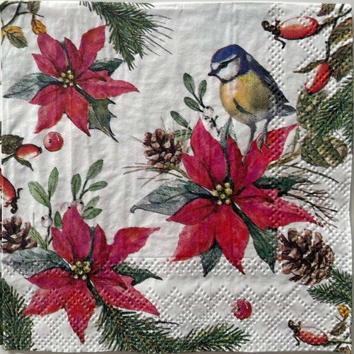 Cocktail paper napkins for - x,