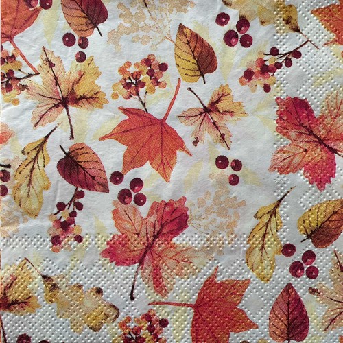 Cocktail paper napkins for - 2, x