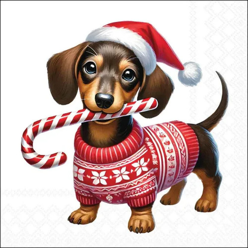 Christmas dachshund candy - christmas,