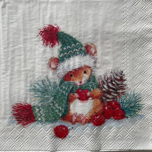 Cocktail paper napkins - paper,