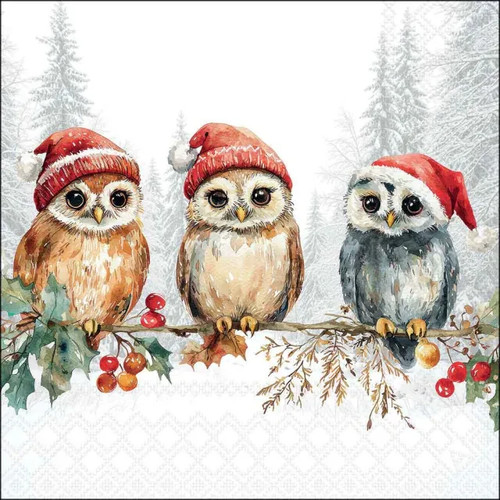 Wise christmas owls winter - 4x,