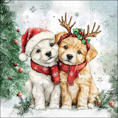 Christmas puppies cody - cody, &