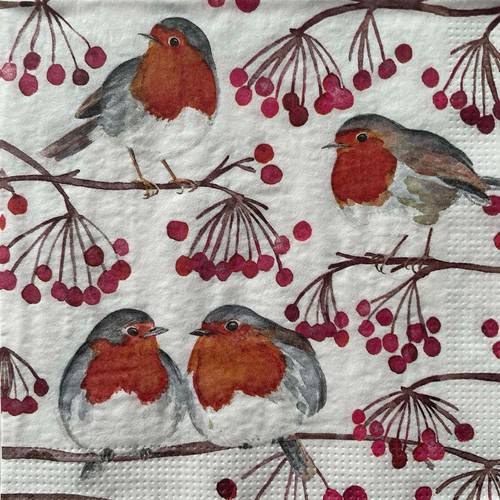 Cocktail paper napkins - cocktail,