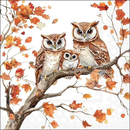 Family owls autumn tree - 4x,