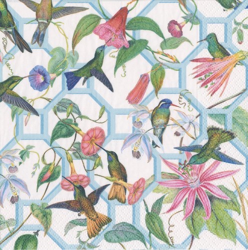 Hummingbird trellis caspari - trellis,
