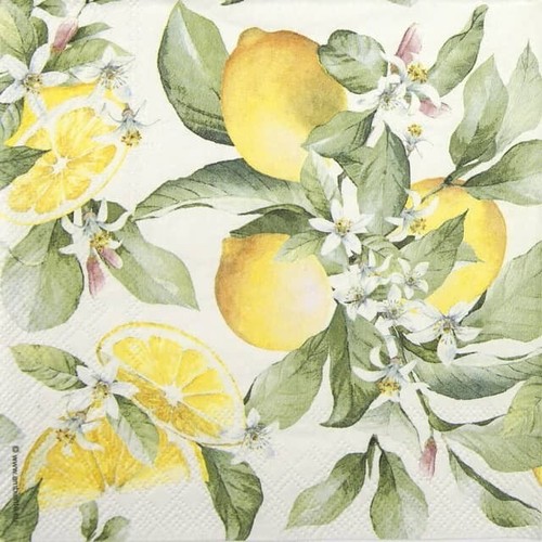 Ambiente cocktail napkins - ambiente,