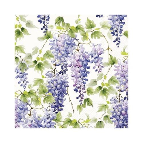 Purple wisteria flowers floral - purple,
