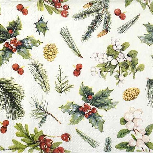 Single cocktail paper - 4x,