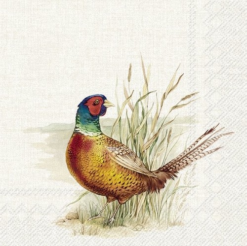 Ihr cocktail napkins - cocktail,