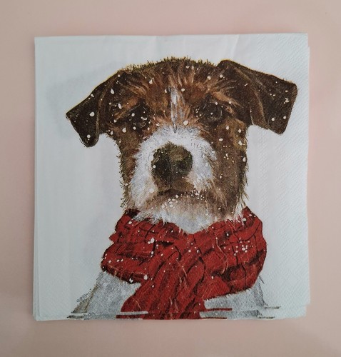 Decoupage cocktail napkins - decoupage, x