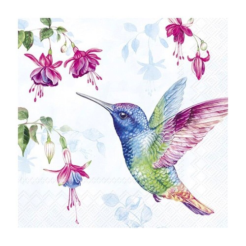 Hummingbird light blue - hummingbird,