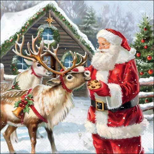 Santa feeding reindeer - 4x,