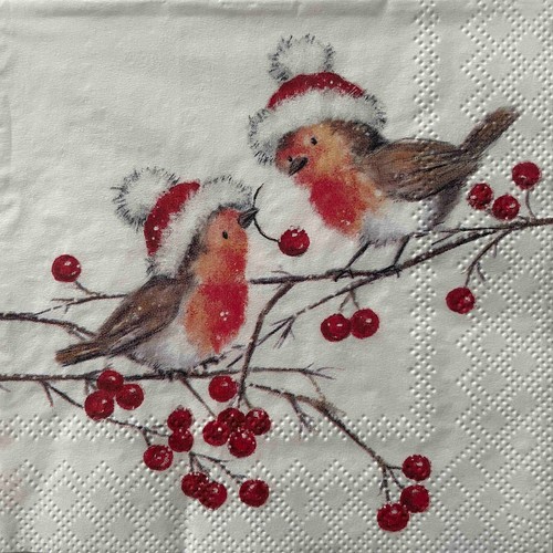 Cocktail paper napkins - 2,