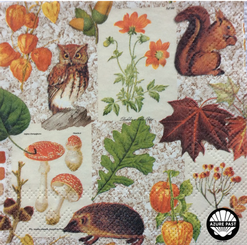 Autumn paper napkins for - x3,