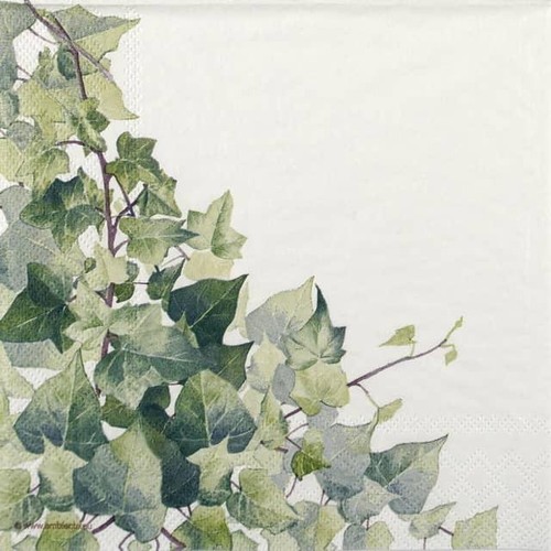 Single cocktail napkins - 4x,